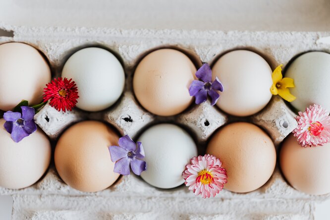 Боязнь холестерина: сколько яиц в день можно есть без вреда здоровью?