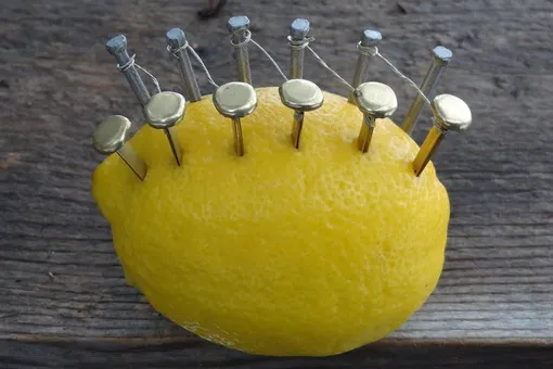 Можно ли разжечь костер с помощью... лимона