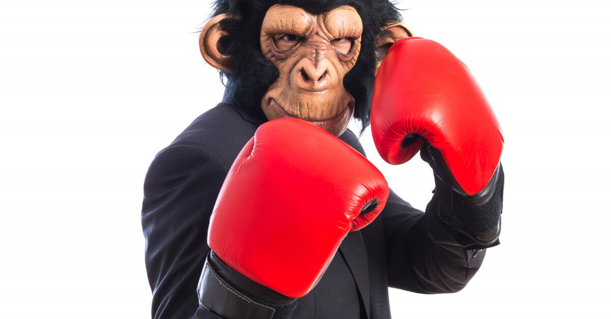 Манки мен. Monkey man. Обезьяна боксер. Манки мен. Обезьяна боксер.