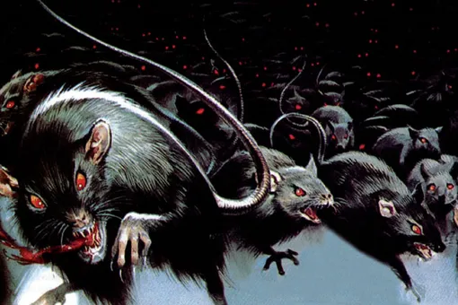7 страшных болезней, которыми могут заразить человека крысы
