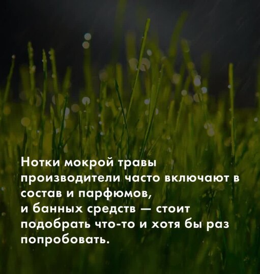 Нажми и смотри