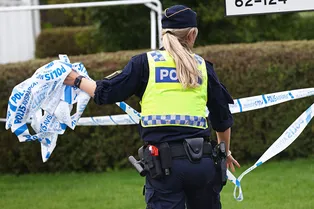 Шведские бандиты проявили смекалку и соблазнили полицейских: более 30 женщин передавали им важные сведения