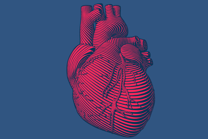 Что такое рак сердца?