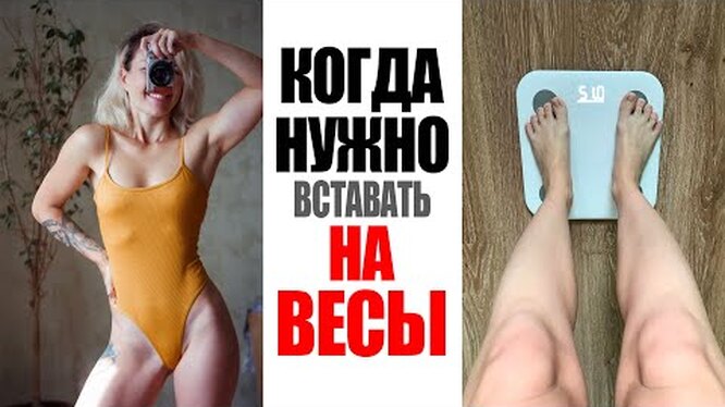 Разделение пищи по времени