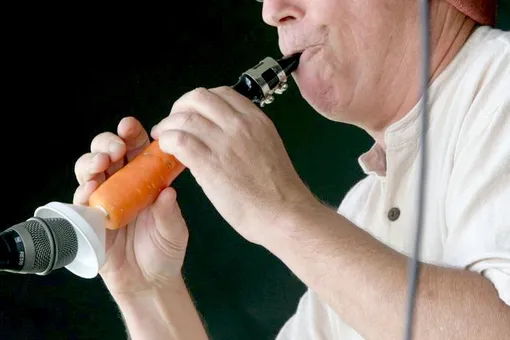 Как звучит музыкальный инструмент, сделанный из моркови