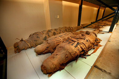 Египетская мумия крокодила
