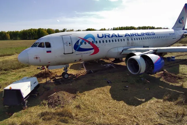 Вынужден работать грузчиком и таксовать: как живет пилот, посадивший самолет в поле под Новосибирском