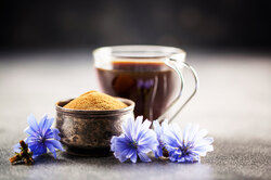 4 веские причины заменить кофе на цикорий