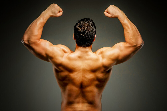 30-минутная тренировка спины, которая заставит ваши мышцы молить о пощаде