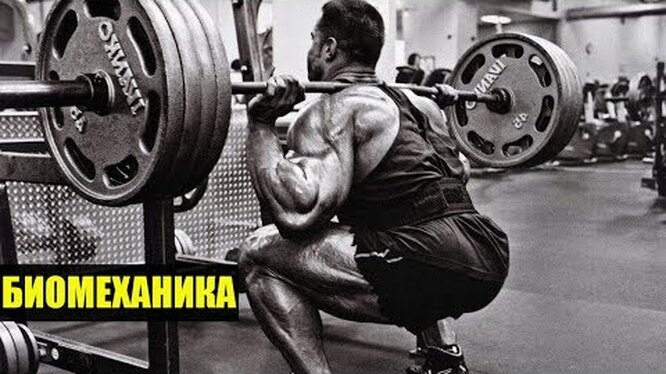 Как сохранить мышечную массу при недостаточных тренировках и старении советы и рекомендации