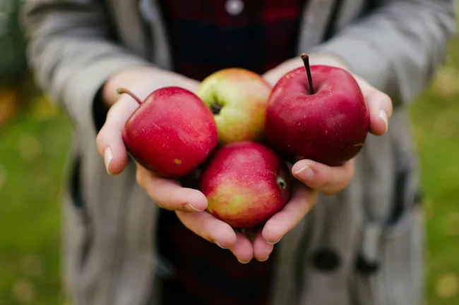Американские кардиологи назвали три самых полезных для сердца фрукта