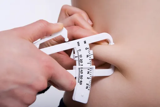 Как сделать вредный белый жир полезным бурым: любопытное исследование