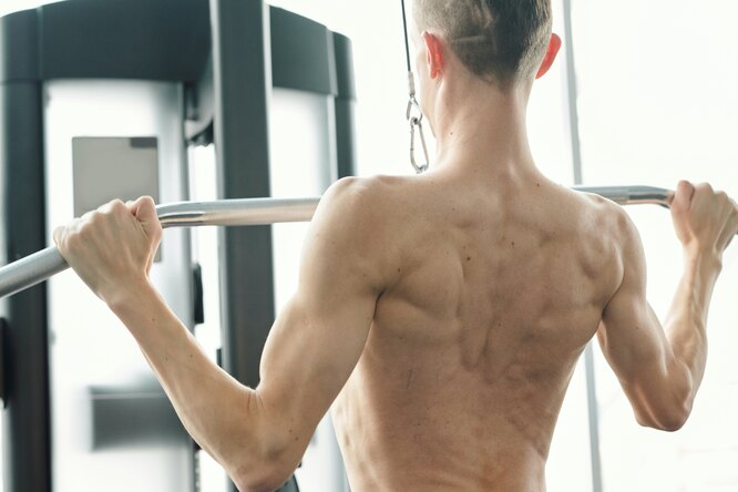 Какие мышцы вам надо усерднее прорабатывать (в зависимости от телосложения)