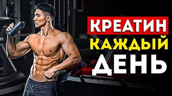 Какой растворитель выбрать для креатина Гид по выбору
