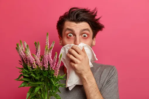 3 главных правила для человека с аллергией