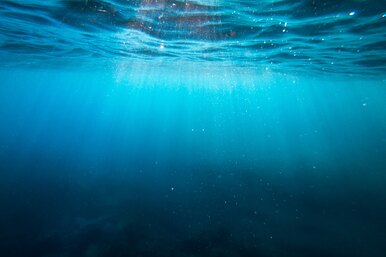 Почему в океане соленая вода?