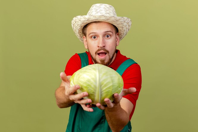 Какой вид капусты самый полезный?