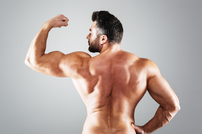 20 лучших упражнений для развития мышц спины