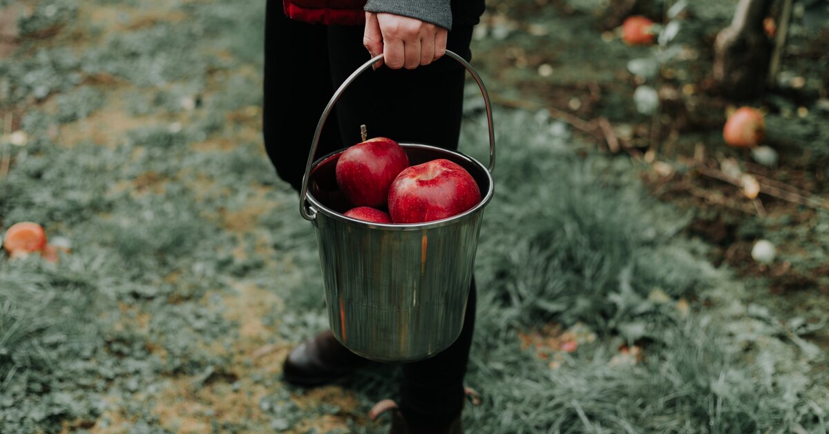 Какие продукты содержат больше всего клетчатки?